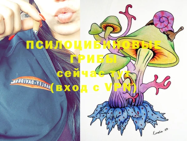 дурь Белоозёрский
